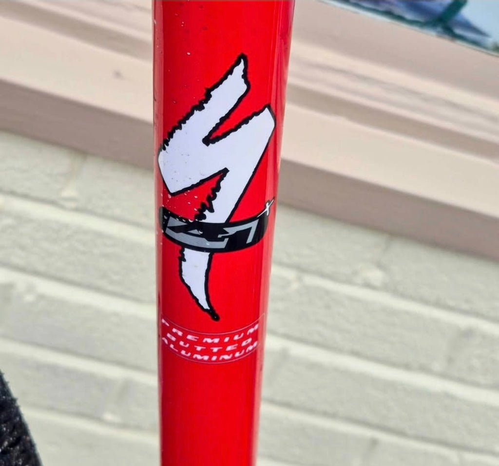 Specialized resto mod Rockhopper monster gravel bike large
