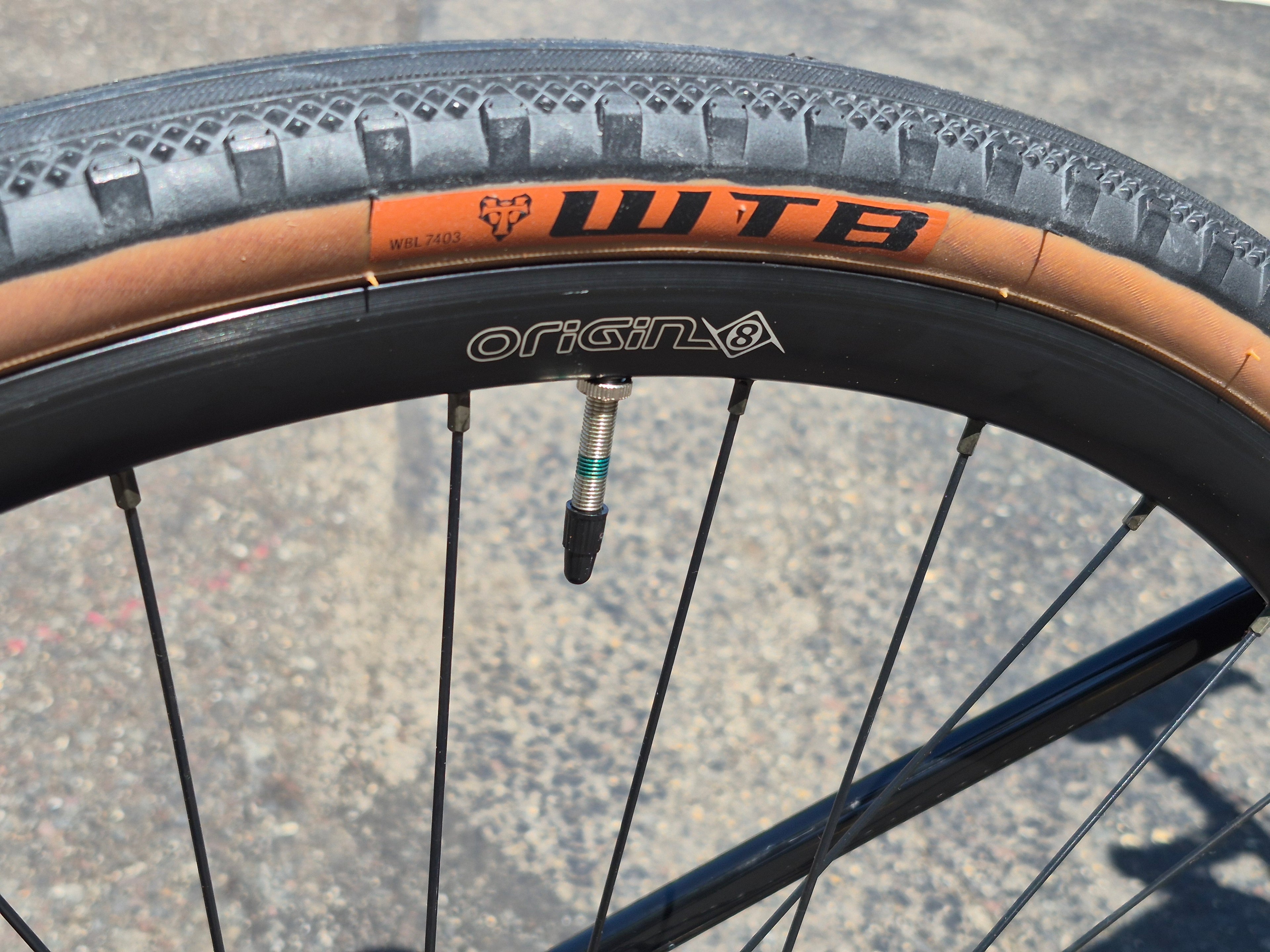 NEW 53cm Salsa Journeyer gravel bike carbon fork