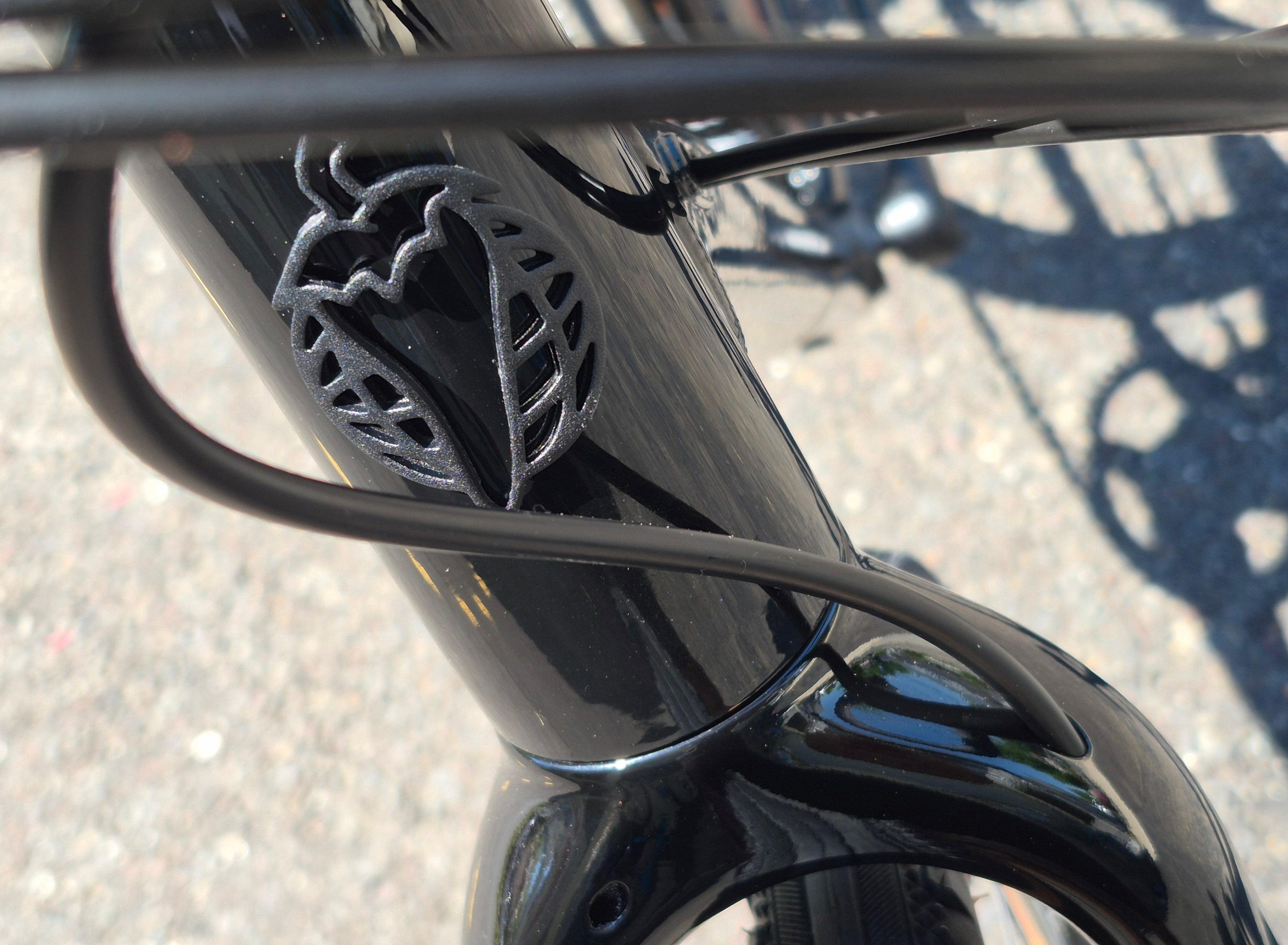 NEW 53cm Salsa Journeyer gravel bike carbon fork